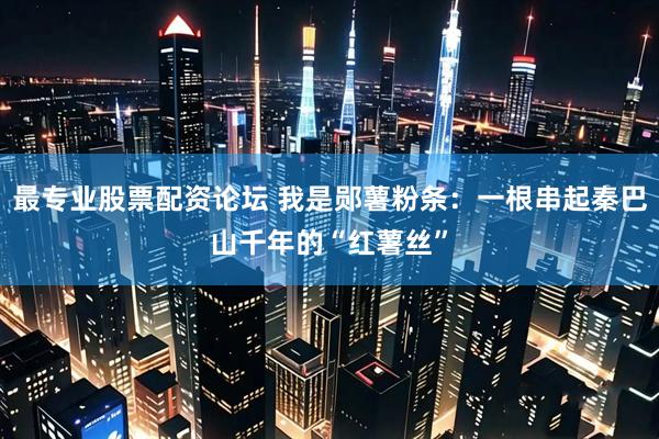 最专业股票配资论坛 我是郧薯粉条:一根串起秦巴山千年的“红薯丝”