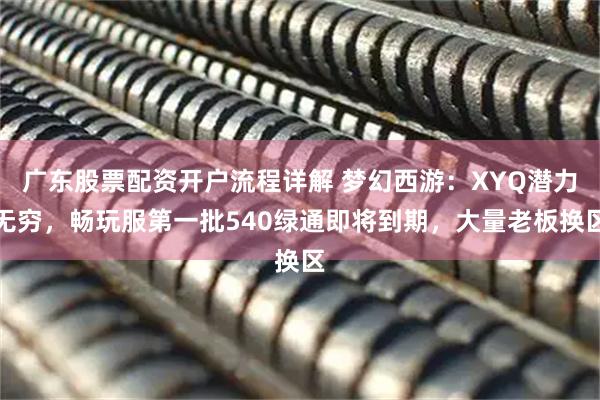 广东股票配资开户流程详解 梦幻西游：XYQ潜力无穷，畅玩服第一批540绿通即将到期，大量老板换区